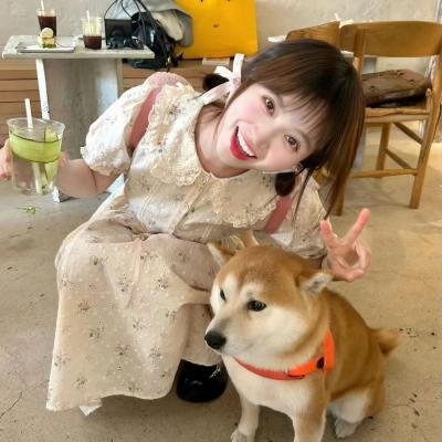 桂宝之爆笑闯宇宙