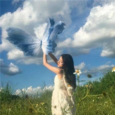 我的英雄学院第六季