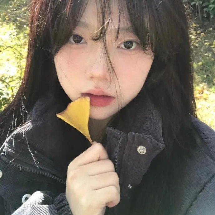 奔驰的大葱